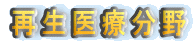 再生医療分野 